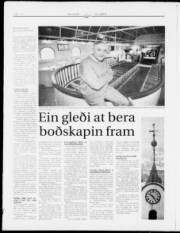 Síða 12