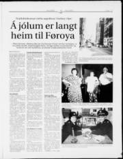 Síða 13