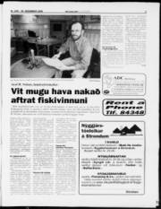Síða 3