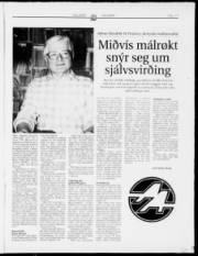 Síða 17