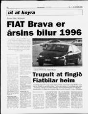Síða 12