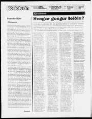 Síða 2