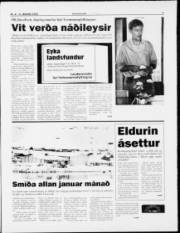 Síða 3