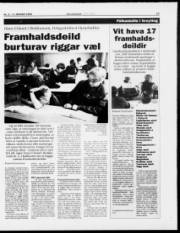 Síða 13