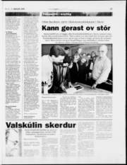 Síða 15