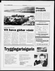 Síða 3