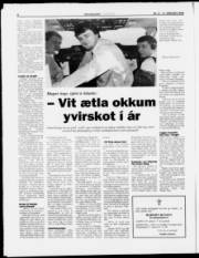 Síða 8