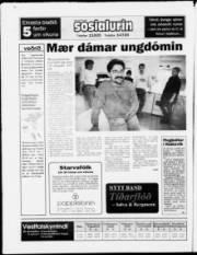 Síða 20
