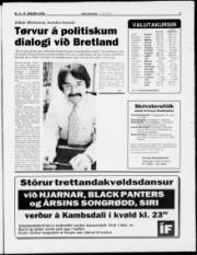 Síða 3