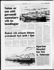 Síða 4