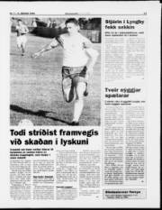 Síða 13