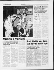 Síða 15