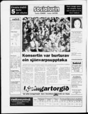 Síða 24