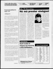Síða 2