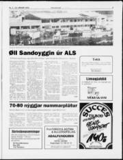 Síða 3