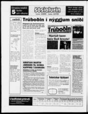 Síða 24