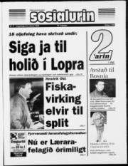 Síða 1