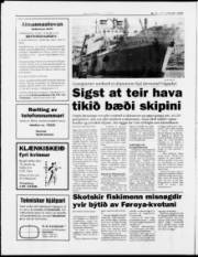 Síða 8