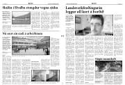 Síða 3