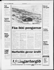Síða 3