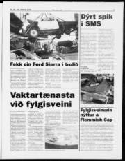 Síða 5