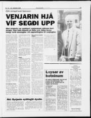Síða 15