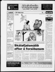 Síða 24