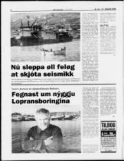 Síða 6