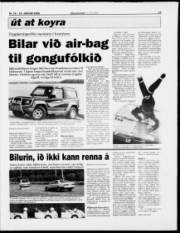 Síða 17