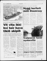 Síða 3