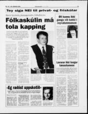Síða 11