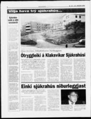 Síða 8