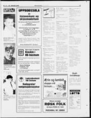 Síða 23