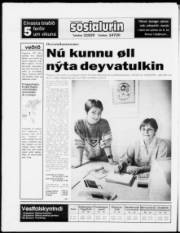 Síða 24