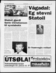 Síða 3