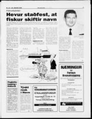 Síða 5