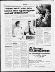 Síða 6