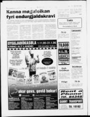 Síða 8