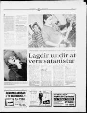 Síða 17