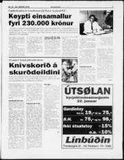 Síða 3