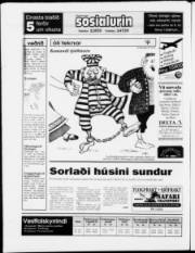 Síða 24