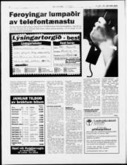 Síða 6