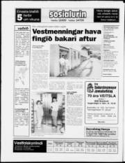 Síða 20