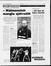 Síða 17