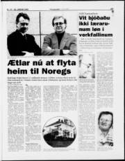 Síða 21
