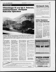 Síða 25