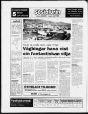 Síða 28