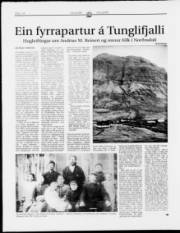 Síða 14