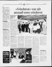 Síða 17