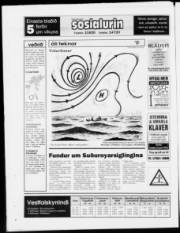 Síða 28